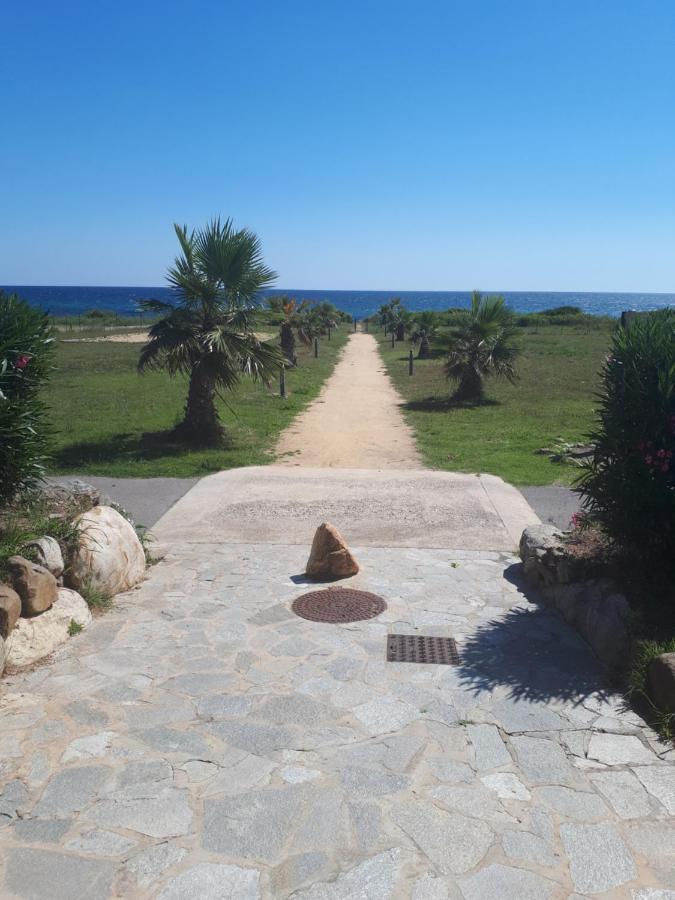 Villa Climatisee A Nuciola Prunete Entre Mer, Montagne Et Piscine Cervione Εξωτερικό φωτογραφία