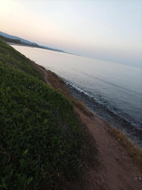 Villa Climatisee A Nuciola Prunete Entre Mer, Montagne Et Piscine Cervione Εξωτερικό φωτογραφία