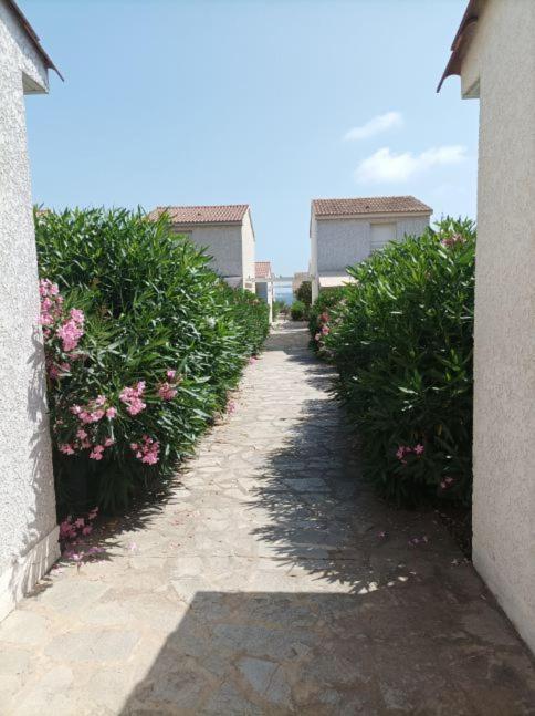Villa Climatisee A Nuciola Prunete Entre Mer, Montagne Et Piscine Cervione Εξωτερικό φωτογραφία
