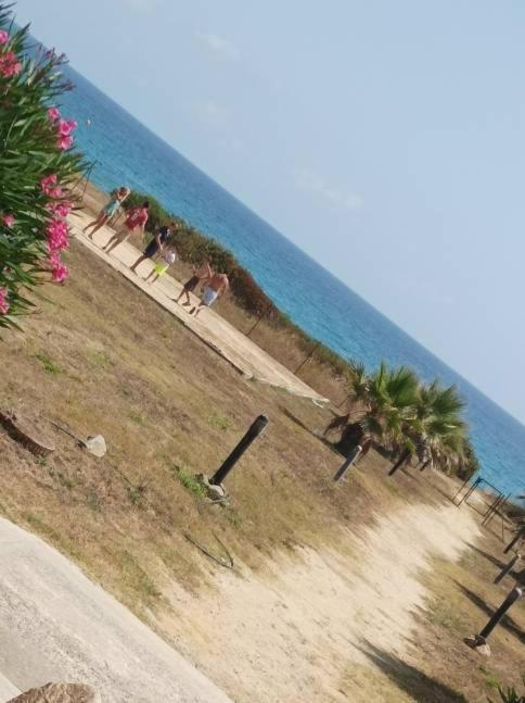 Villa Climatisee A Nuciola Prunete Entre Mer, Montagne Et Piscine Cervione Εξωτερικό φωτογραφία