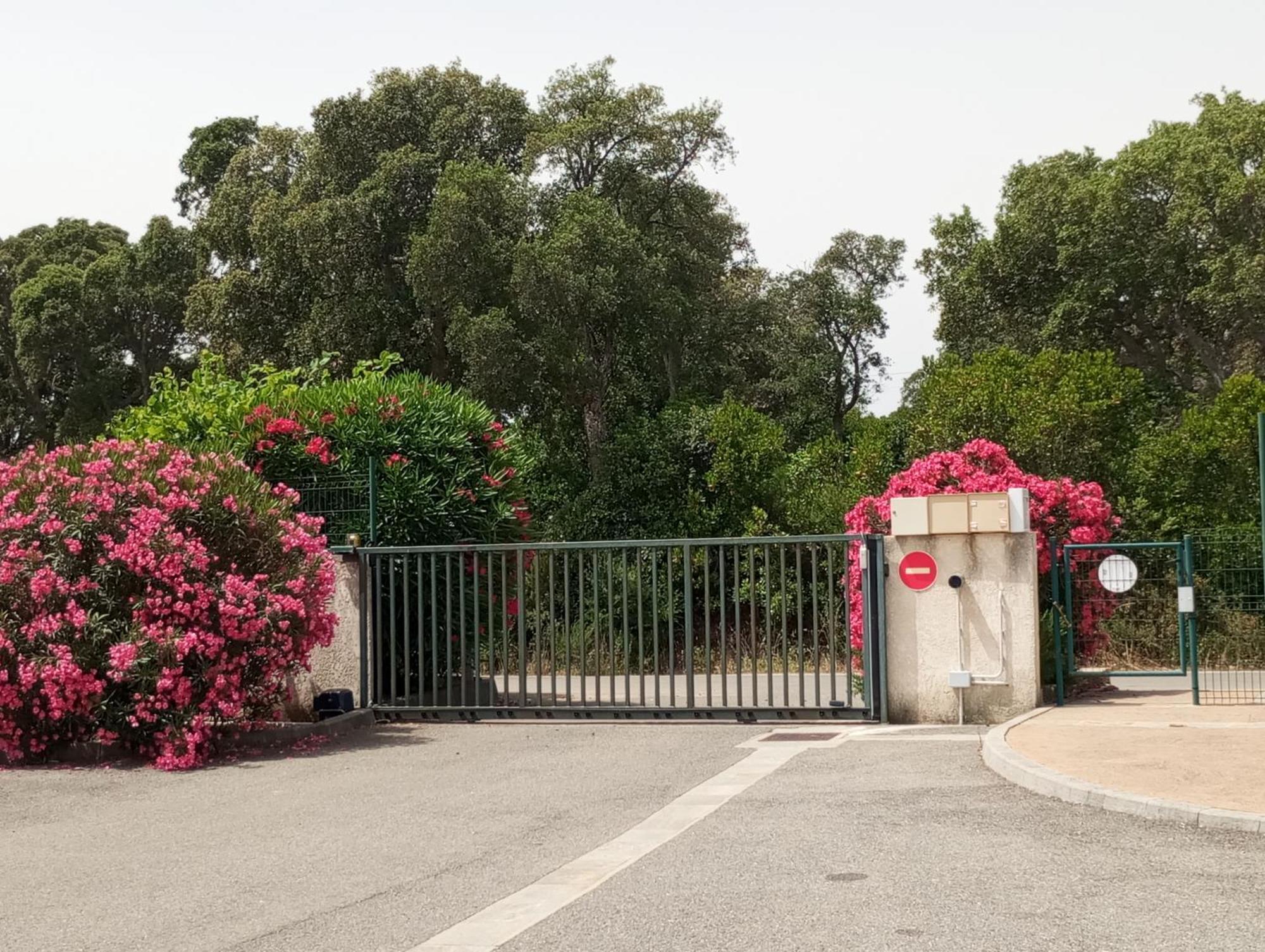Villa Climatisee A Nuciola Prunete Entre Mer, Montagne Et Piscine Cervione Εξωτερικό φωτογραφία