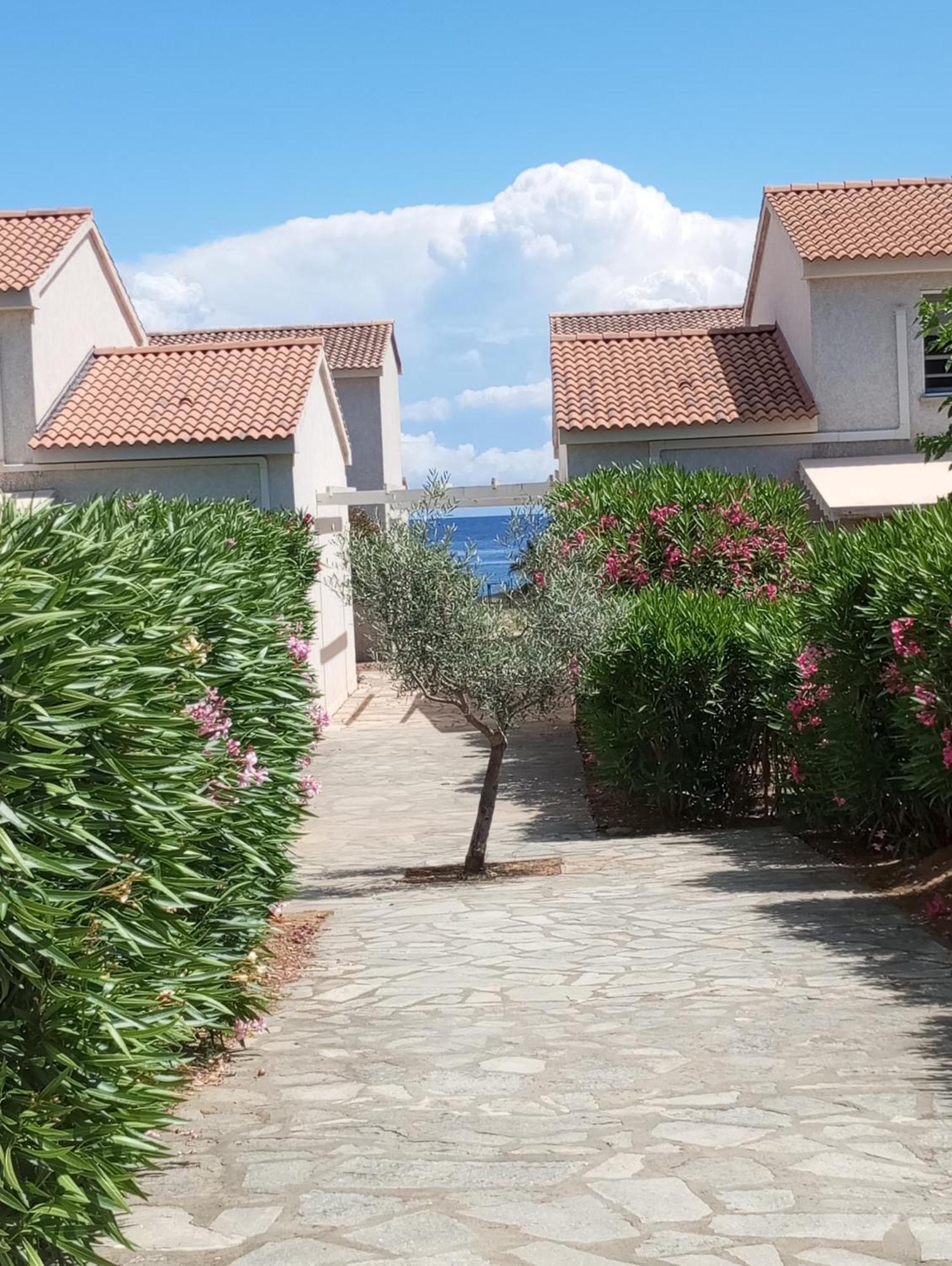 Villa Climatisee A Nuciola Prunete Entre Mer, Montagne Et Piscine Cervione Εξωτερικό φωτογραφία